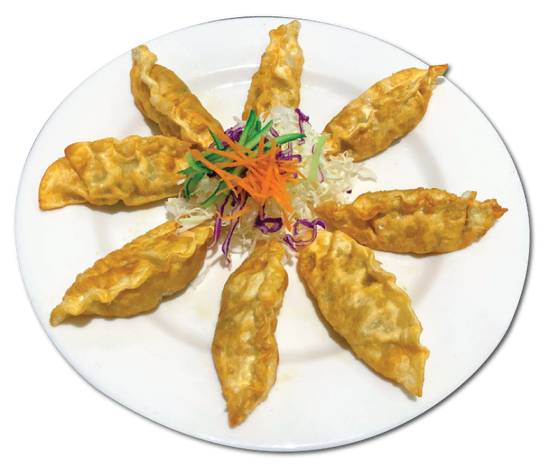 Fried Dumplings