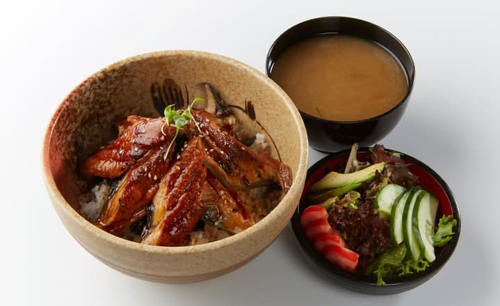 Unagi Don