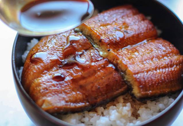 Unagi Don
