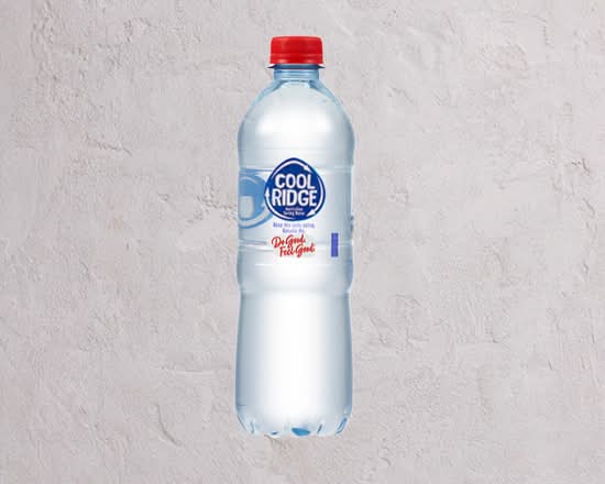 Cool Ridge Water 600mL