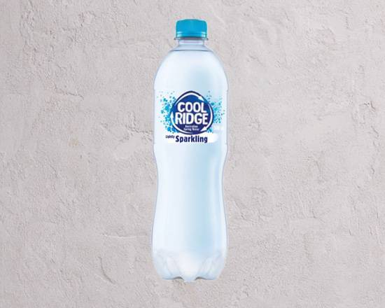 Sparkling Mineral Water 500mL