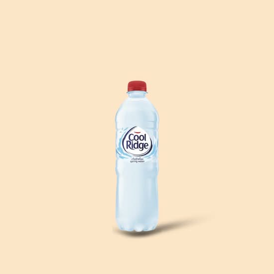 Cool Ridge Spring Water 600ml