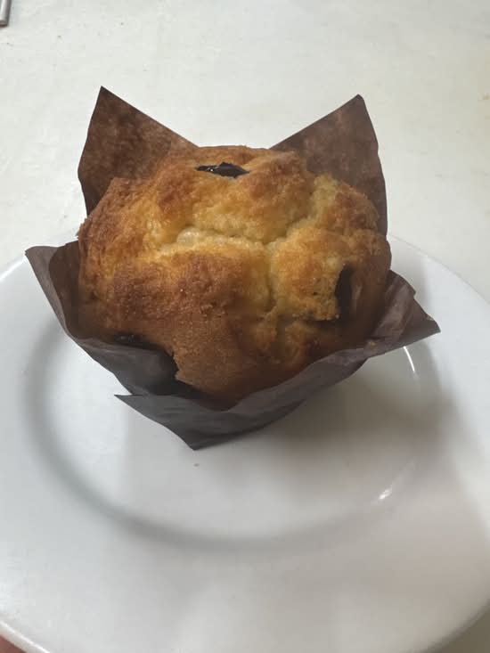 Blueberry Muffin