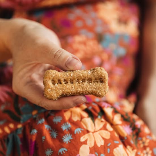 Hand Made Dog Biscuit