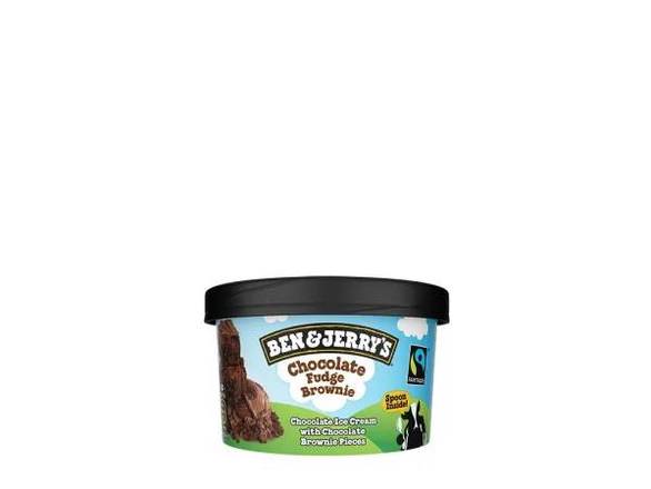 Ben and Jerry's Chocolate Fudge Brownie