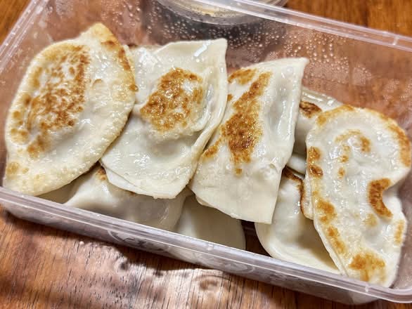 Fried Dumplings