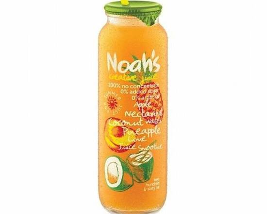 Apple, Nectarine, Coconut water, Pineapple & Lime Juice