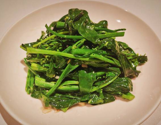Chinese Broccoli