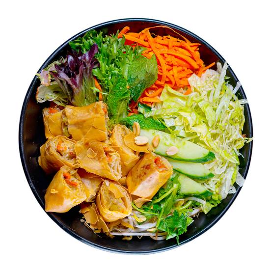 Veggie Spring Rolls Noodle Salad (V)