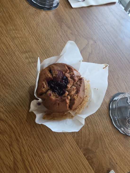 Blueberry Muffin