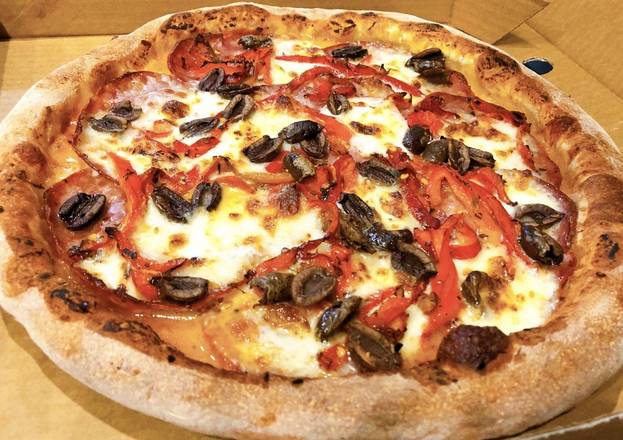 13" Large Salami Pizza