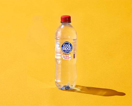 Cool Ridge Water 600mL