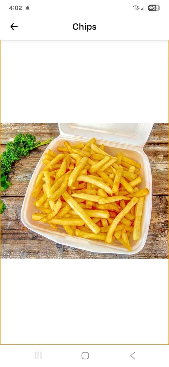 Large Chips