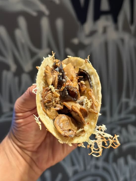 Wild mushroom Taco