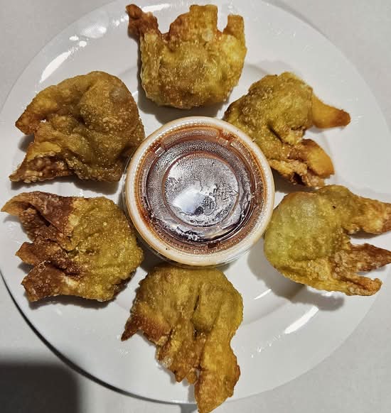 Deep Fried Wonton