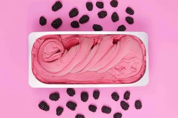Boysenberry ( Plant Based ) (LIMITED EDITION)