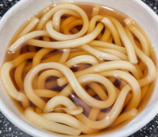 Plain Udon
