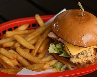 Moroccan Chicken Burger