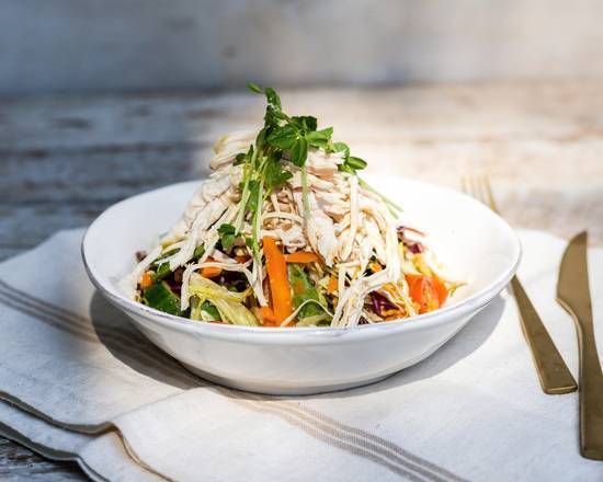 Asian Style Chicken Salad