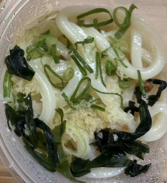 Mini Udon