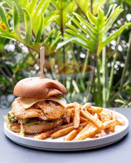 Grilled Spicy Chicken Burger