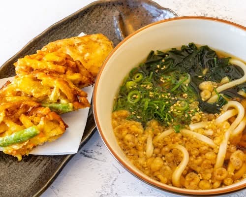 Vege Tempura Udon