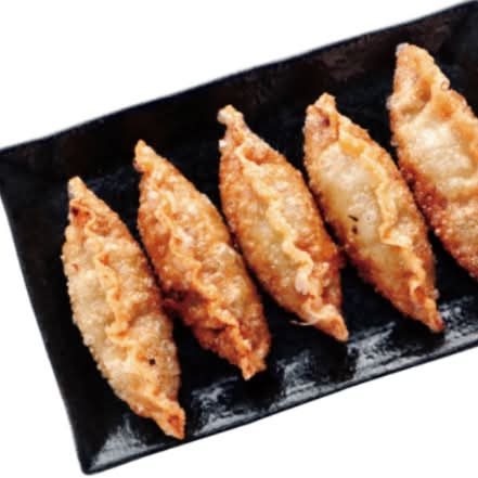 Vegetarian Gyoza Appetizer