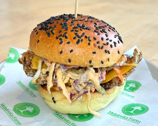 Southern Fried Chicken Burger