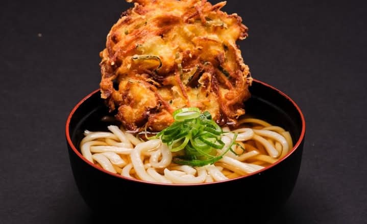 Vegetable Tempura Udon