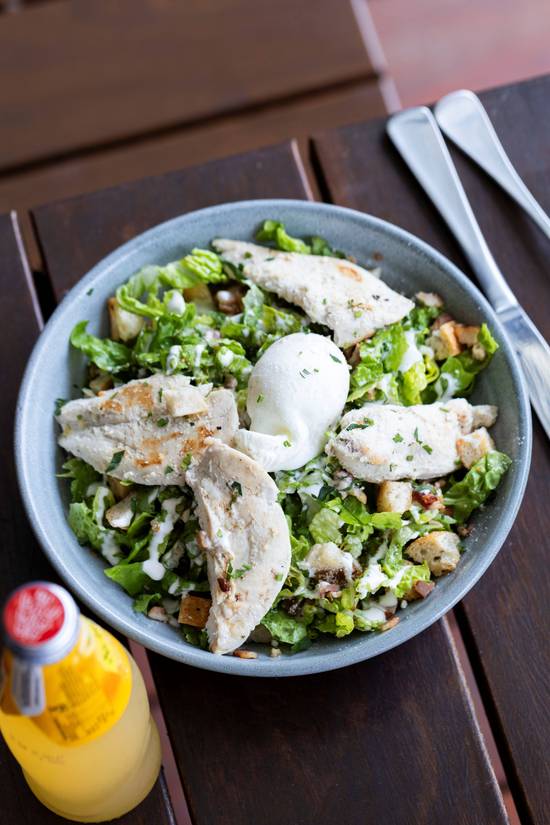 Chicken Caesar Salad