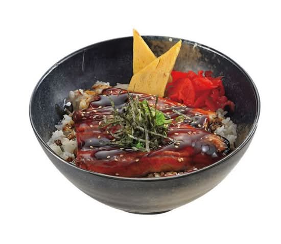 Unagi Don
