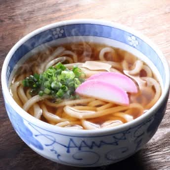 UDON NOODLE SOUP