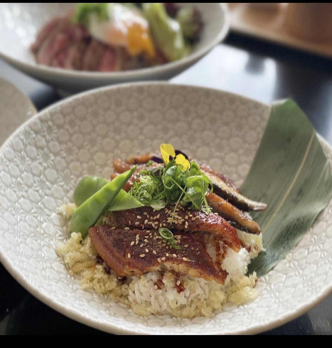 Grill eel  rice bowl