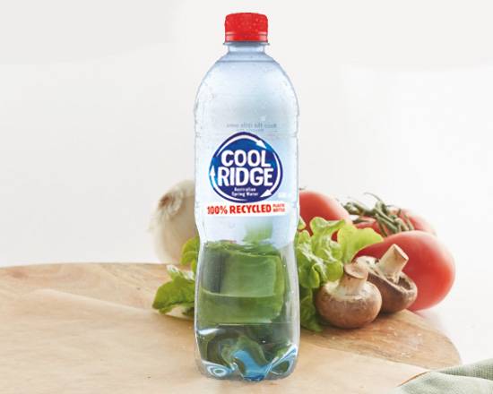 Cool Ridge Water 600mL