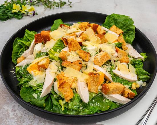 Chicken Caesar Salad