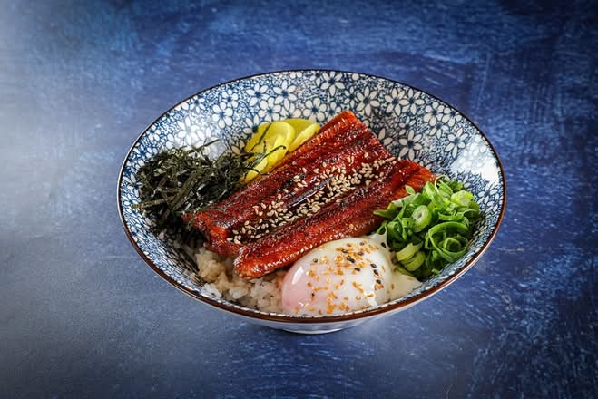 Unagi Don