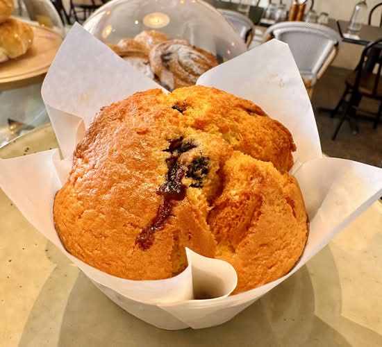 Blueberry muffin