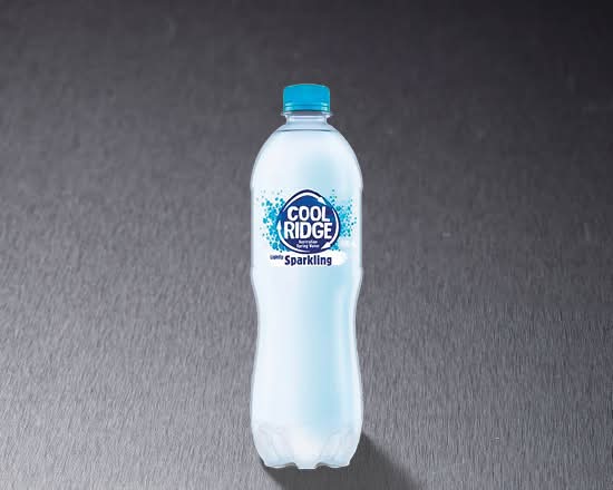Sparkling Water 500ml
