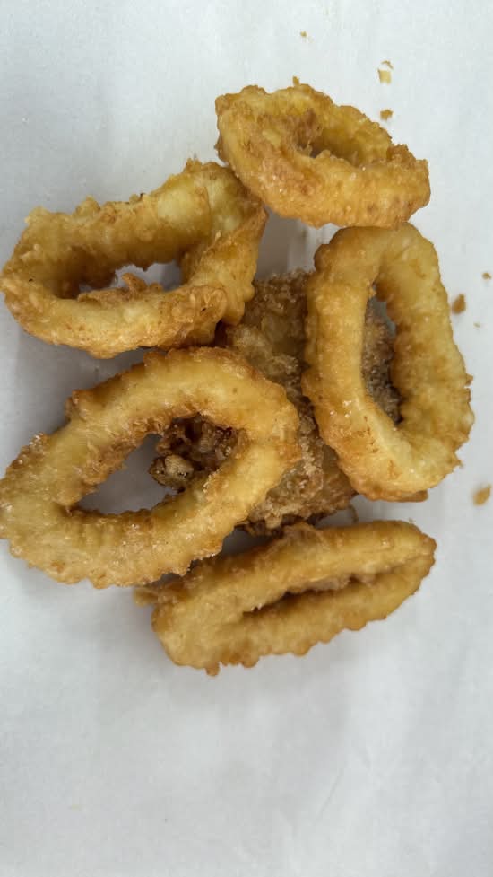 6x  Squid Rings