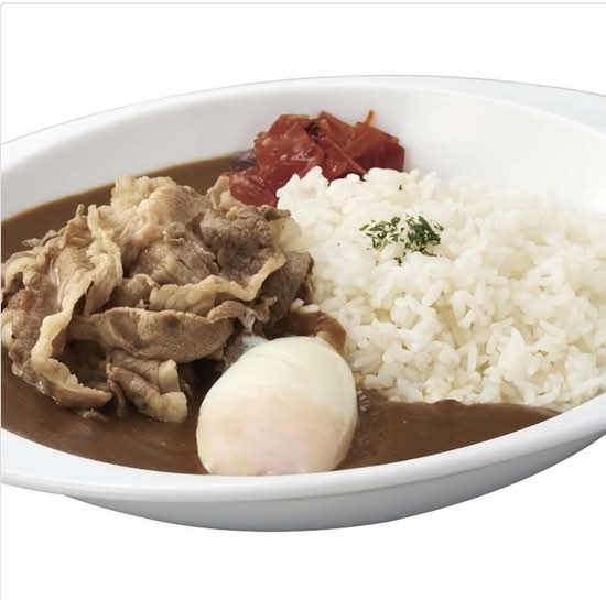 Beef Curry w/poached egg