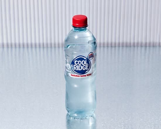 Cool Ridge Water 600mL
