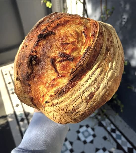 Sourdough White Loaf