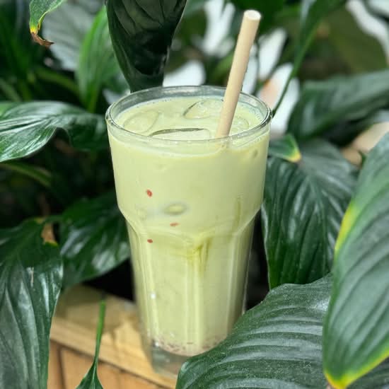 Iced Matcha